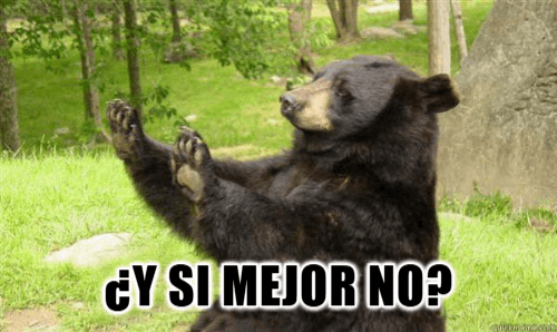 Oso diciendo que NO